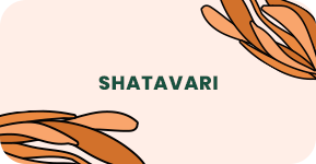 Shatavari