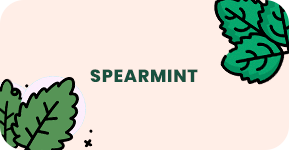 Spearmint