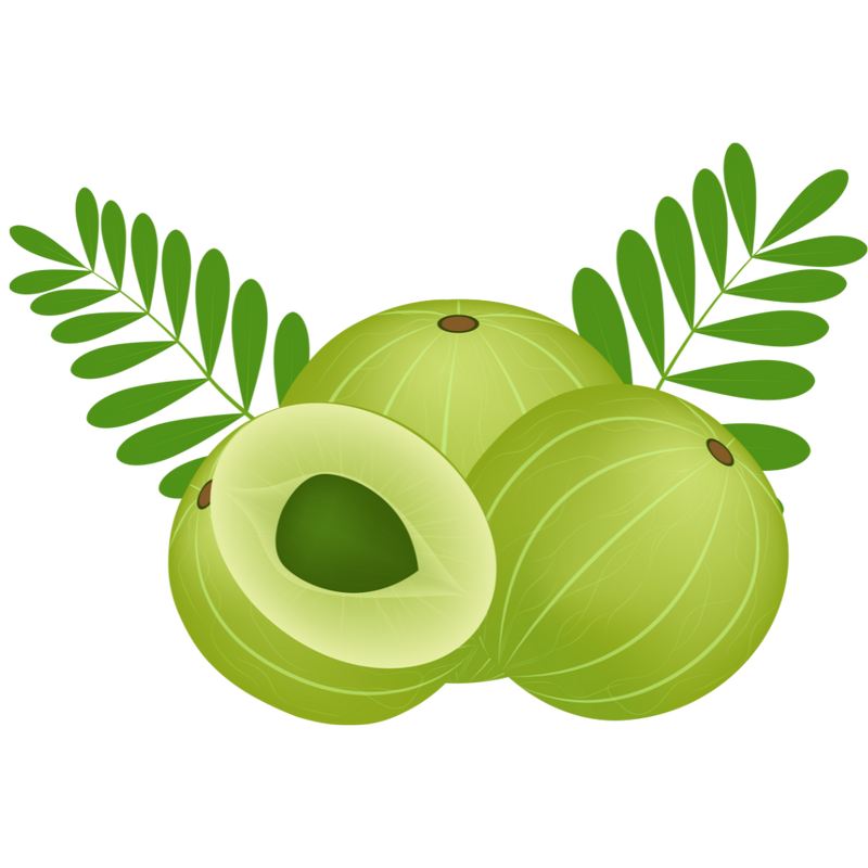 Amla Extract